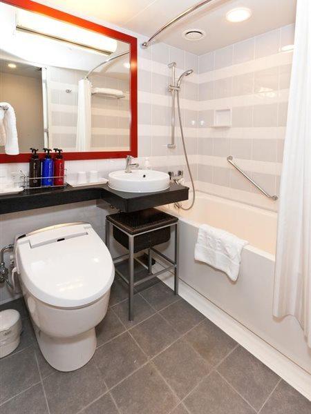 Hotell Sotetsu Fresa Tokyo-akasaka 3*